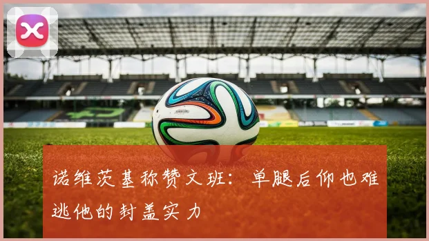 诺维茨基称赞文班：单腿后仰也难逃他的封盖实力