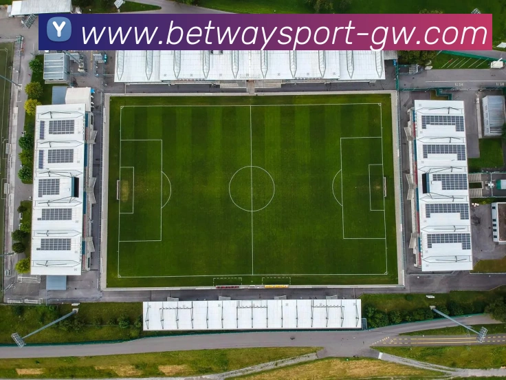 多媒体互动体验